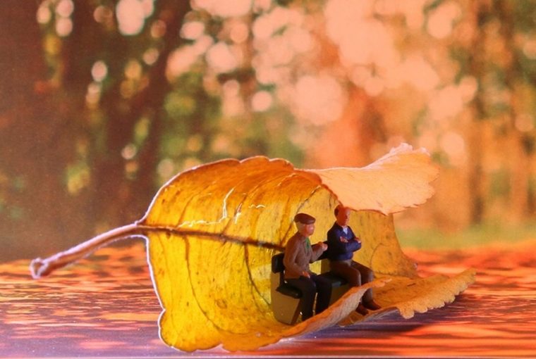 8 dolog ami miatt az oszt csak szeretni lehet