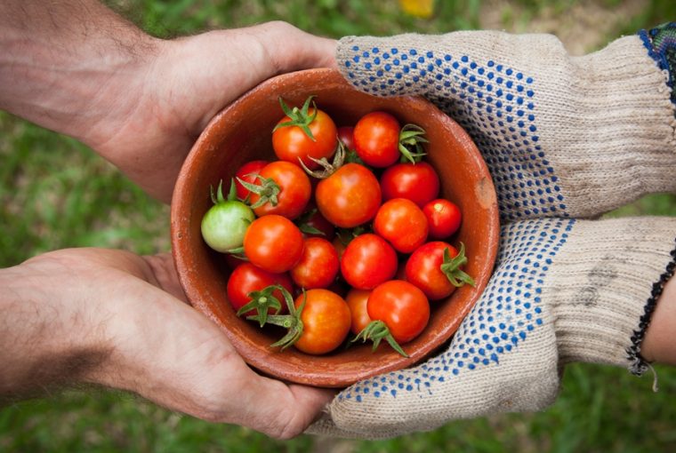 a kerteszkedes igazi ajandek