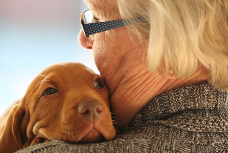 hazikedvencek jotekony hatasa 01