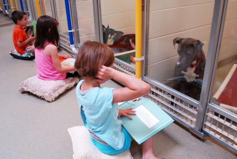 tunderi gyerekek olvasnak fel menhelyi kutyusoknak