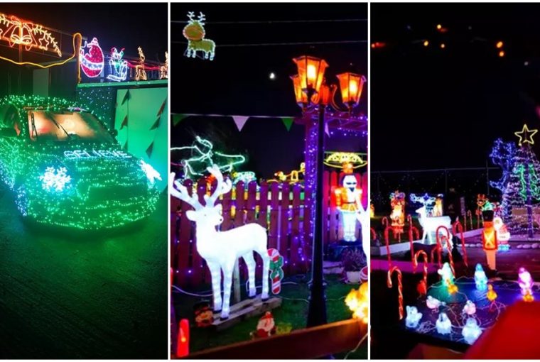 fenyarba oltozteti a hazat