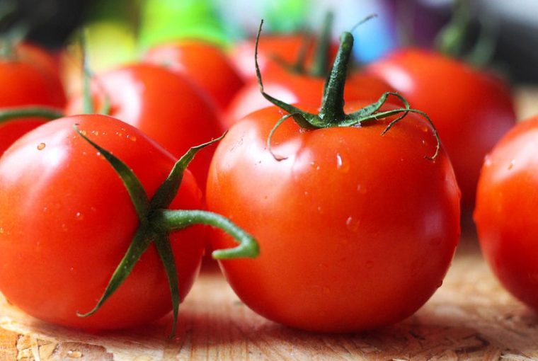 kiskertekben elelmet termeljunk 01