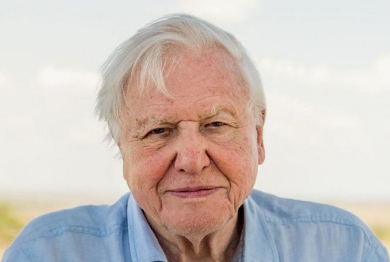 david attenborough az instagramon