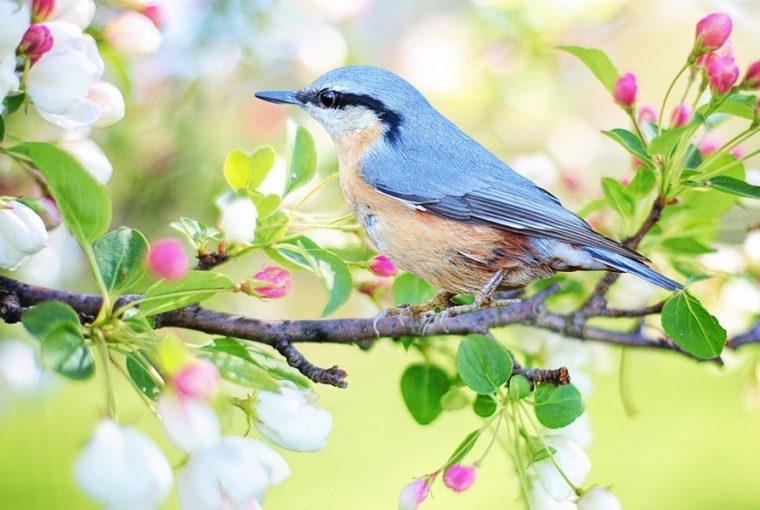 a tudosok szerint boldogabbak vagyunk
