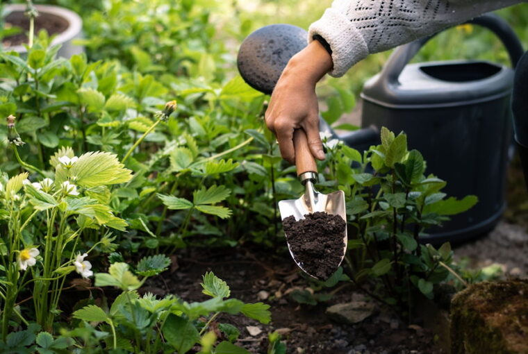 Szellemileg frissít, testileg erősít: ezt adja a rendszeres kertészkedés