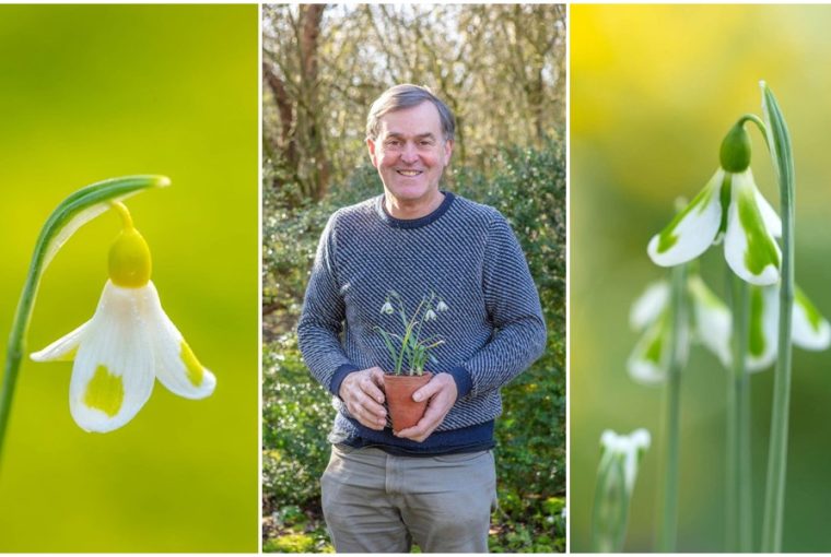 joe sharman hoviragkiraly