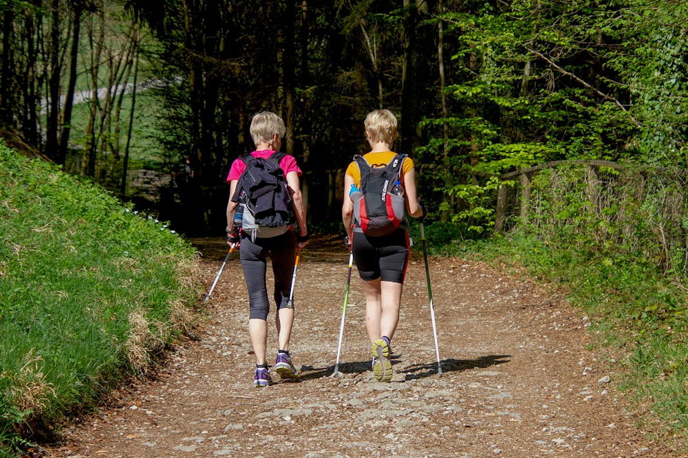 Nordic walking: kímélő, mégis hatékony