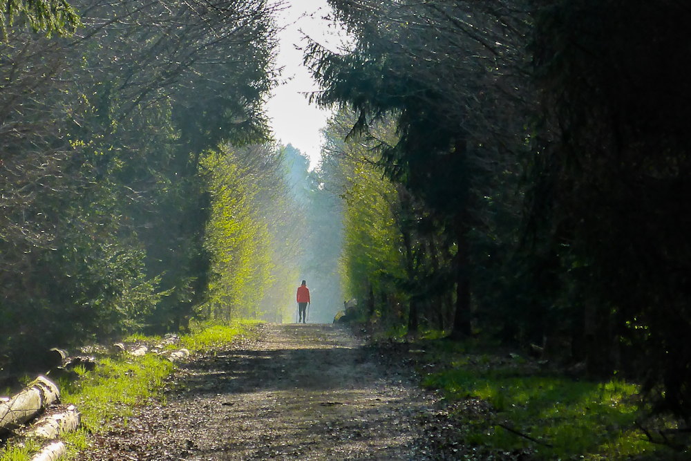 Nordic walking: kímélő, mégis hatékony