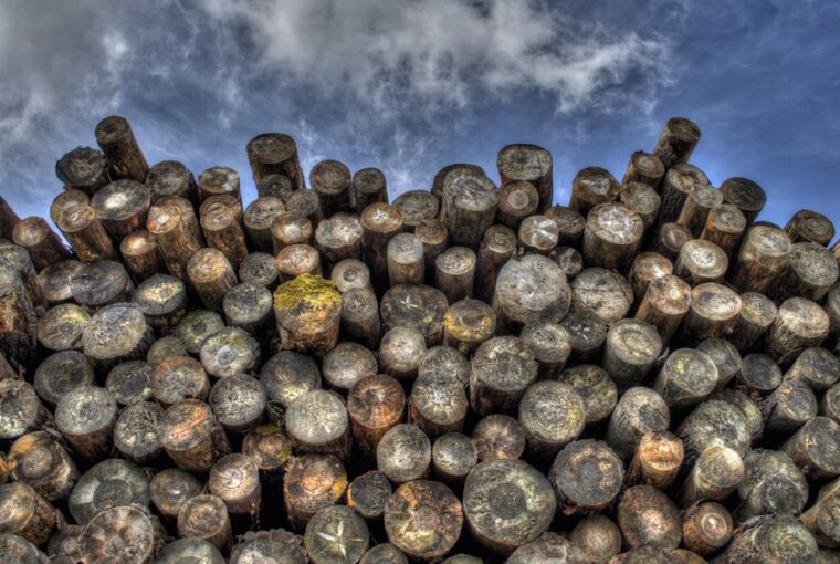 csalo tuzifakereskedok