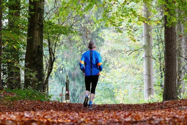 kardioosveny budaors