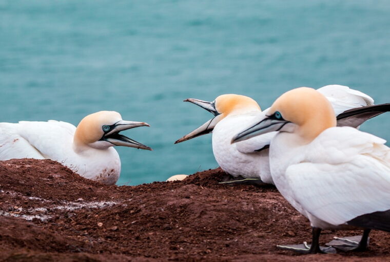 Családi viszályok feloldása: hogyan hozhatjuk helyre a családi kapcsolatokat?
