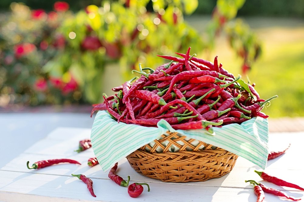 a csipos paprika allitolag egeszseges 1