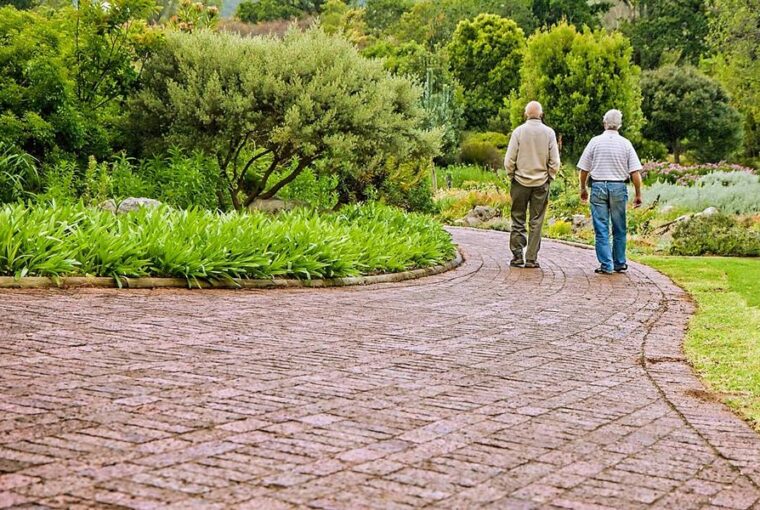 ujraeleszteni a regi baratsagokat