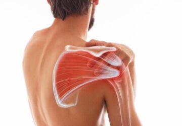 Man's shoulder pain, muscle and body structure. Human body view from behind isolated on white background.