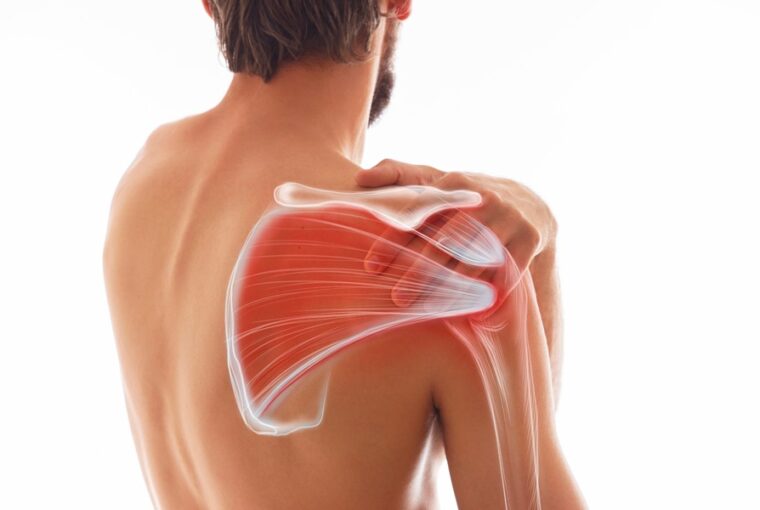 Man's shoulder pain, muscle and body structure. Human body view from behind isolated on white background.