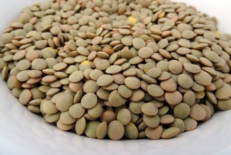 tobb rostot a tanyerra rostbajnok novenyek