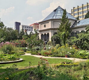 A nyugalom szigetei Budapesten és környékén