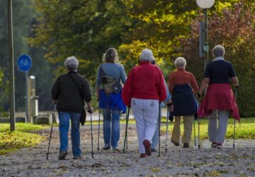 seta helyett alzheimer