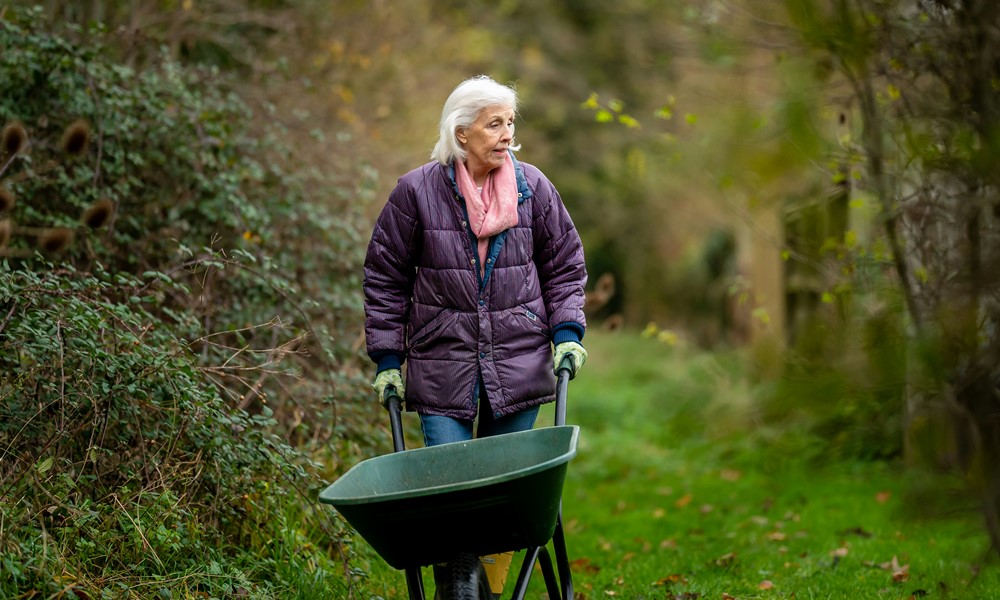 dolgozni egy 60 kertbarat 2