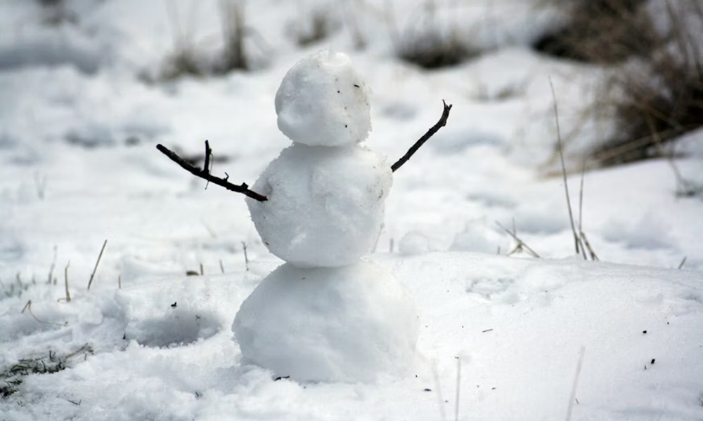 ho lapatolasa surgossegi nelkul 2 ho lapatolasa surgossegi nelkul 2