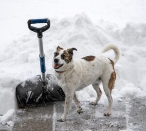 ho lapatolasa surgossegi nelkul