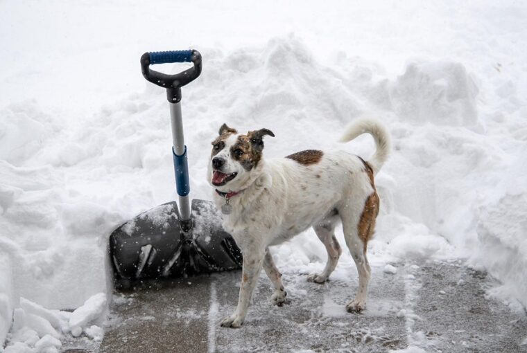 ho lapatolasa surgossegi nelkul