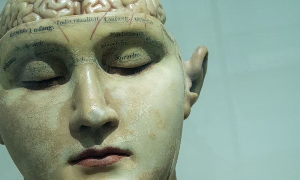 jelezheti e a vizeletunk a demencia kockazatat 1