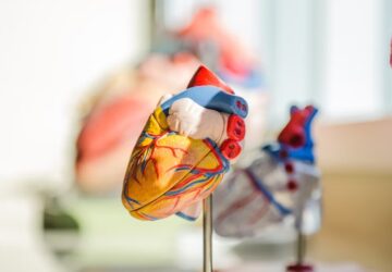 mikrorobotok uszhatnak hamarosan az ereinkben