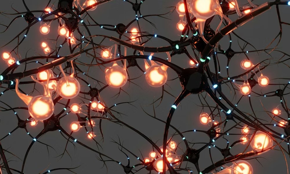 uj esely az agynak 1