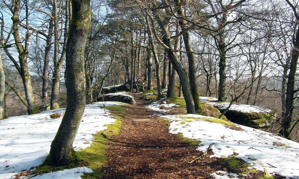 uj ev nem januarban kezdodott 3