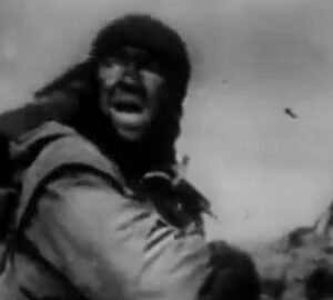 1964 elindult a delta