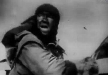 1964 elindult a delta