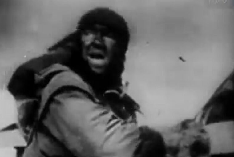 1964 elindult a delta