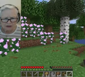 81 eves nagymama minecraft