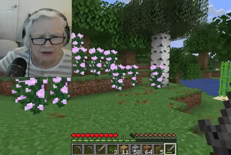 81 eves nagymama minecraft