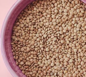 miert ettunk lencset ujevkor 2