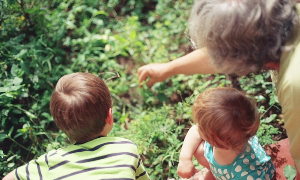 nyugdijrendszer valsagban 1