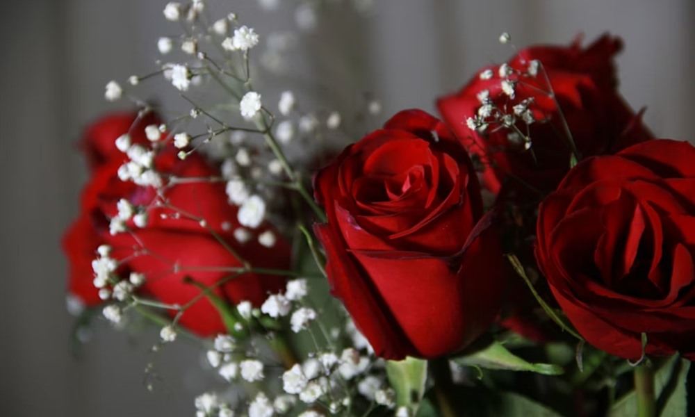 februar 14 valentin nap 1