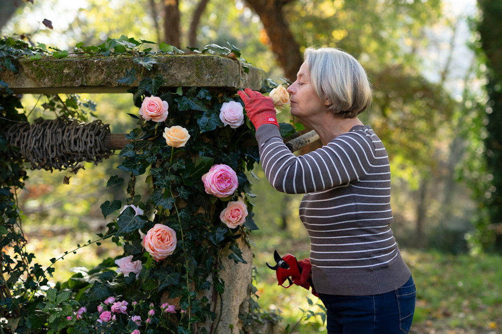 kerti metszes faradtsag nelkul 05 Kerti metszés fáradtság nélkül: akkus segítség az ízületeknek