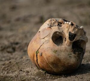 viktorianus bunteny a kert melyerol