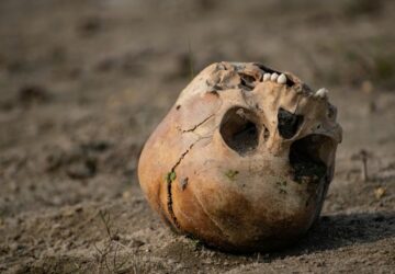 viktorianus bunteny a kert melyerol