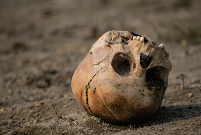 viktorianus bunteny a kert melyerol