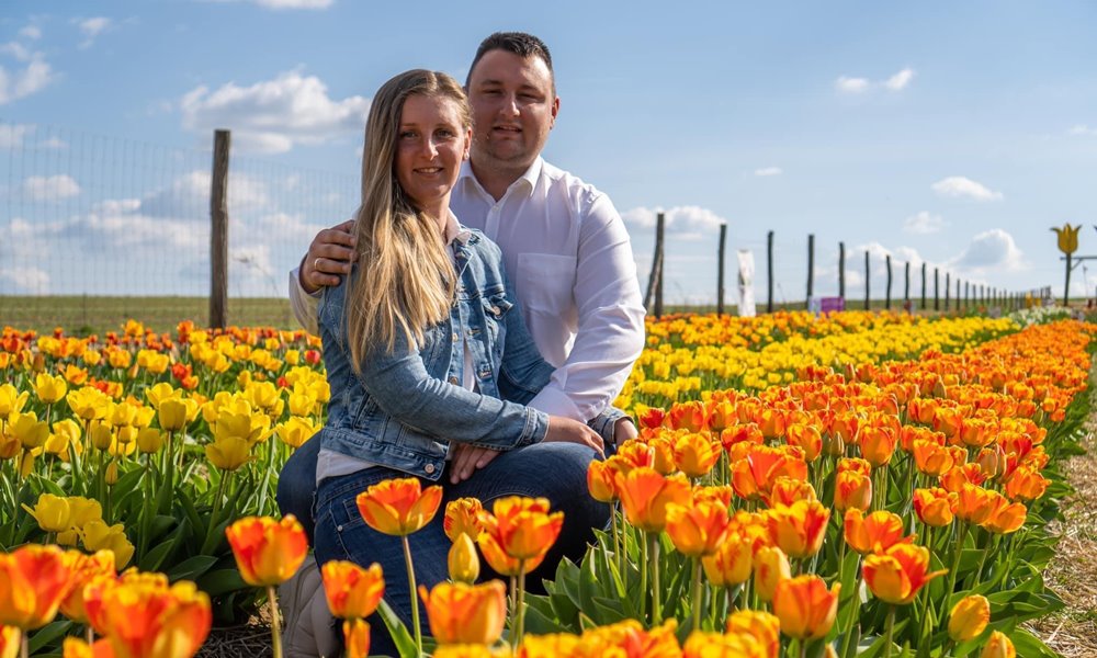 tulipan dunakanyarban 4