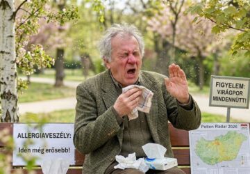 Sokaknál most kezdődnek a tünetek: ezért visel meg ennyi embert idén tavasszal a pollen