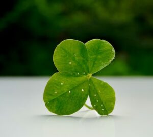 Lottócsoda vagy csak ritka véletlen?