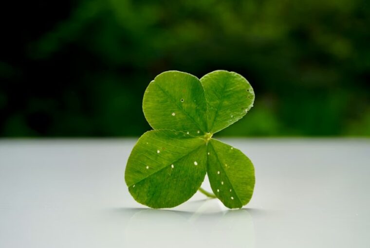 Lottócsoda vagy csak ritka véletlen?