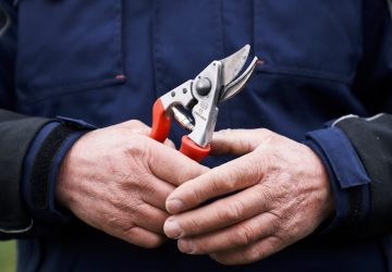 Ízületkímélő kertészkedés: nem minden metszőolló és kerti szerszám egyforma